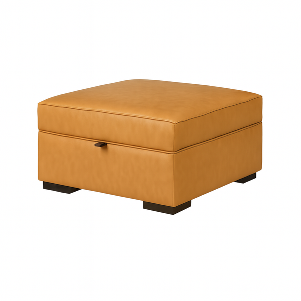 Viggo Storage Ottoman/Coffee Table