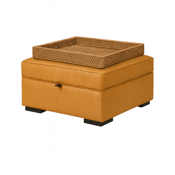 Viggo Storage Ottoman/Coffee Table