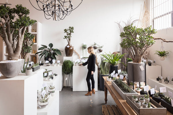 Kermodi Living Art - Parliament Interiors