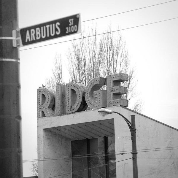 Heather Johnston Photography - Vancouver Series - Parliament Interiors