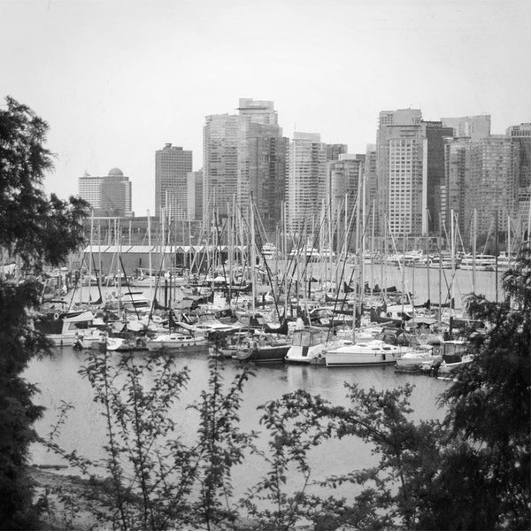 Heather Johnston Photography - Vancouver Series - Parliament Interiors