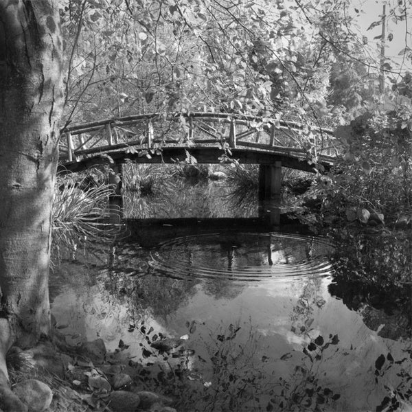 Heather Johnston Photography - Vancouver Series - Parliament Interiors