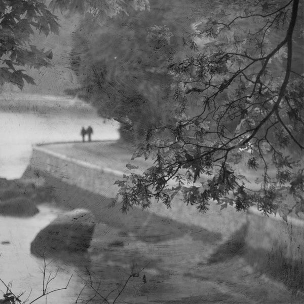 Heather Johnston Photography - Vancouver Series - Parliament Interiors