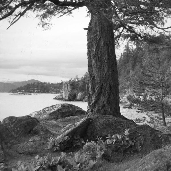 Heather Johnston Photography - Vancouver Series - Parliament Interiors
