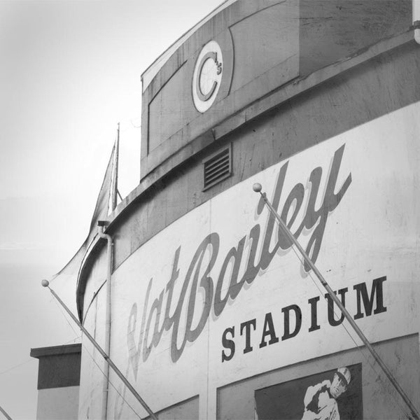 Heather Johnston Photography - Vancouver Series - Parliament Interiors
