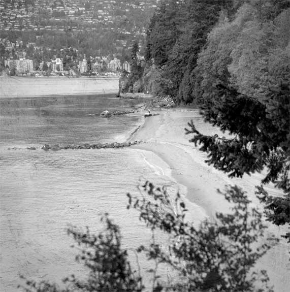 Heather Johnston Photography - Vancouver Series - Parliament Interiors