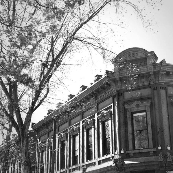 Heather Johnston Photography - Vancouver Series - Parliament Interiors
