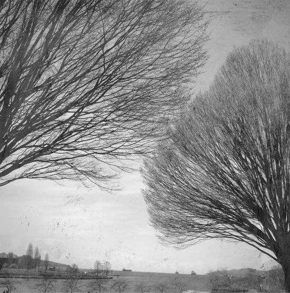 Heather Johnston Photography - Vancouver Series - Parliament Interiors
