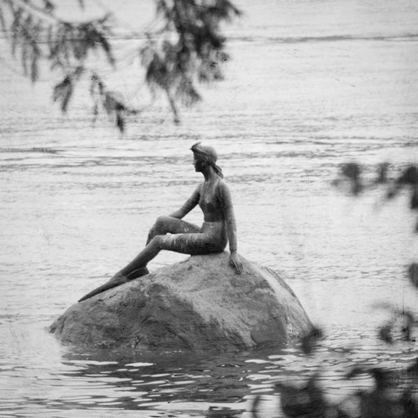 Heather Johnston Photography - Vancouver Series - Parliament Interiors