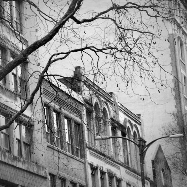 Heather Johnston Photography - Vancouver Series - Parliament Interiors