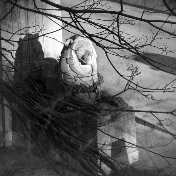 Heather Johnston Photography - Vancouver Series - Parliament Interiors