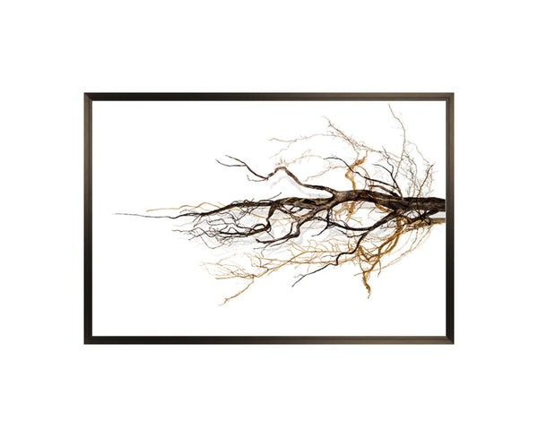 "Solitude" - Parliament Interiors